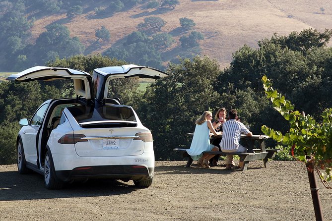 Private Wine Tasting Tour from Santa Barbara - What this Santa Ynez wine experience is really about