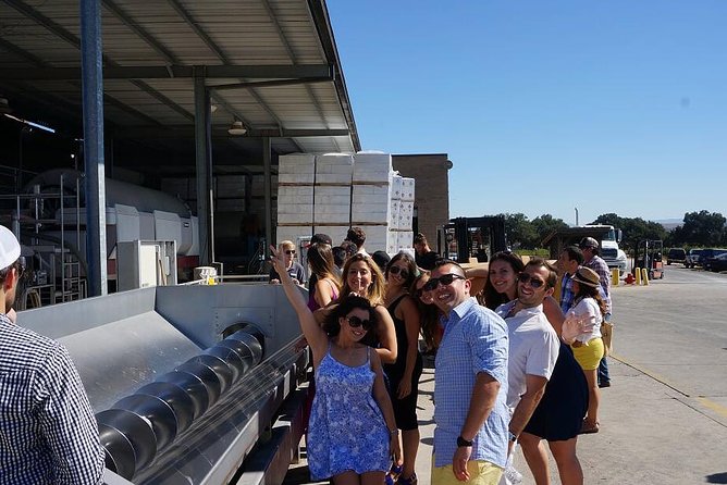 Private Wine Tasting Tour From Santa Ynez, Solvang or Buellton! - Babcock and the coastal wine-country option