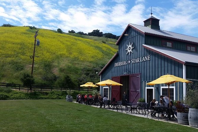 Private Wine Tasting Tour From Santa Ynez, Solvang or Buellton! - Choosing three wineries from a long list