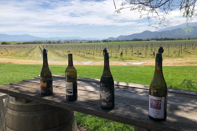Private Wine Tour from the Santa Ynez Valley - The Drive Through Solvang, Los Olivos, and Buellton