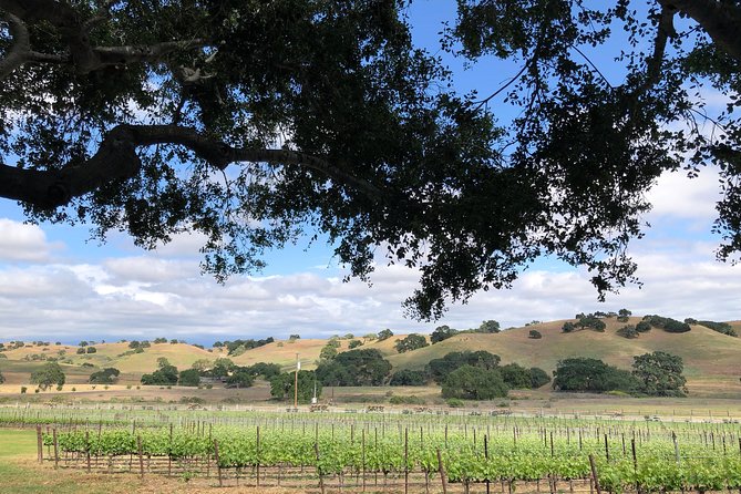 Private Wine Tour from the Santa Ynez Valley - A Picnic Lunch Between the Tastings