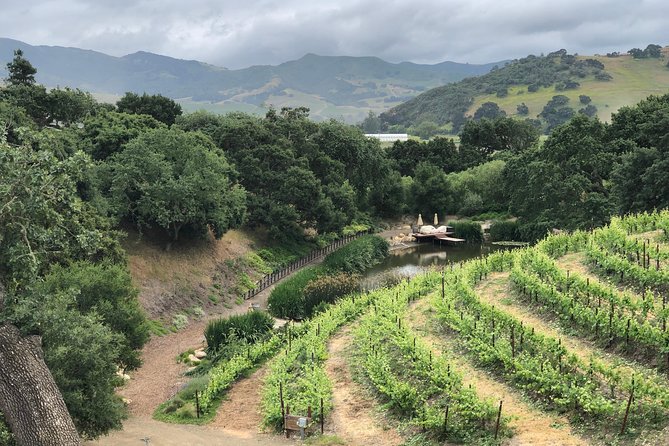 Private Wine Tour from the Santa Ynez Valley - Price, Value, and What You Actually Receive