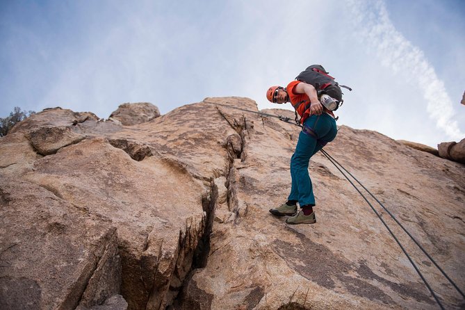 Rappelling Adventure in Joshua Tree National Park (4 Hours) - The guides are central to the quality of the day