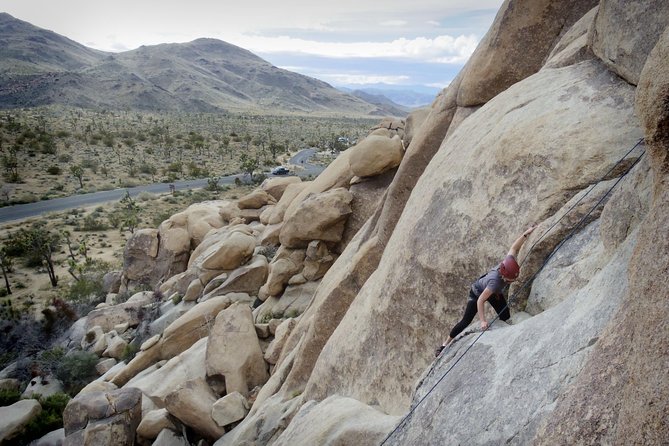 Rock Climbing Trips in Joshua Tree National Park (4 Hours) - Booking details worth checking twice