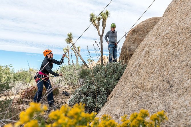 Rock Climbing Trips in Joshua Tree National Park (6 Hours) - How the Private Format Changes the Day