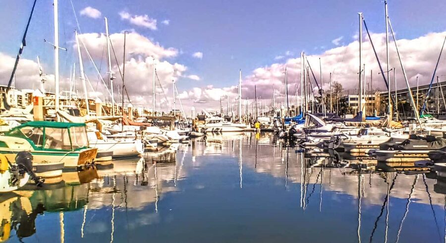 Romantic Boat Cruise with Wine & Cheese or Surprise Dinner - Captain Shaun’s style of guiding