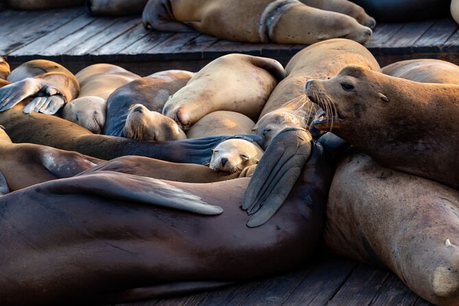 San Diego Day Tour from Orange County - Key points to know before you book