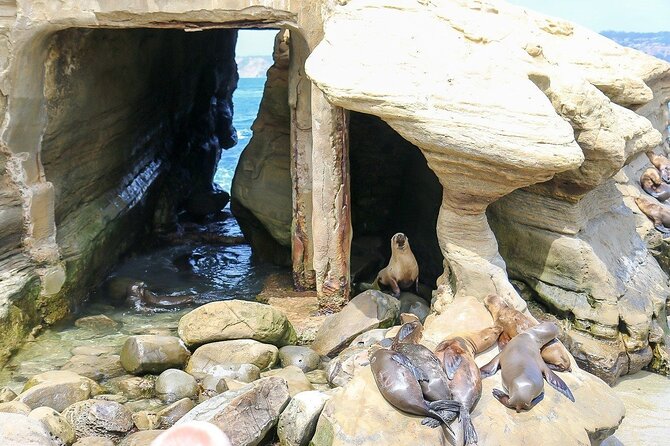 San Diego Day Tour from Orange County - A full day from Newport Beach to San Diego