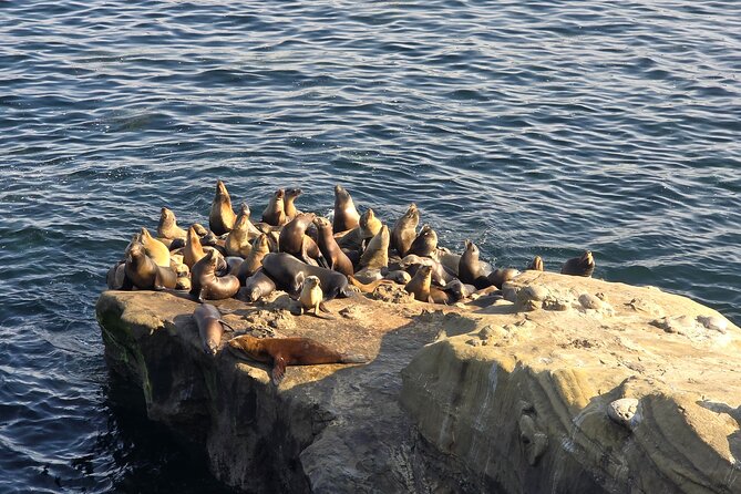San Diego Day Tour from Orange County - Who will enjoy this tour most?