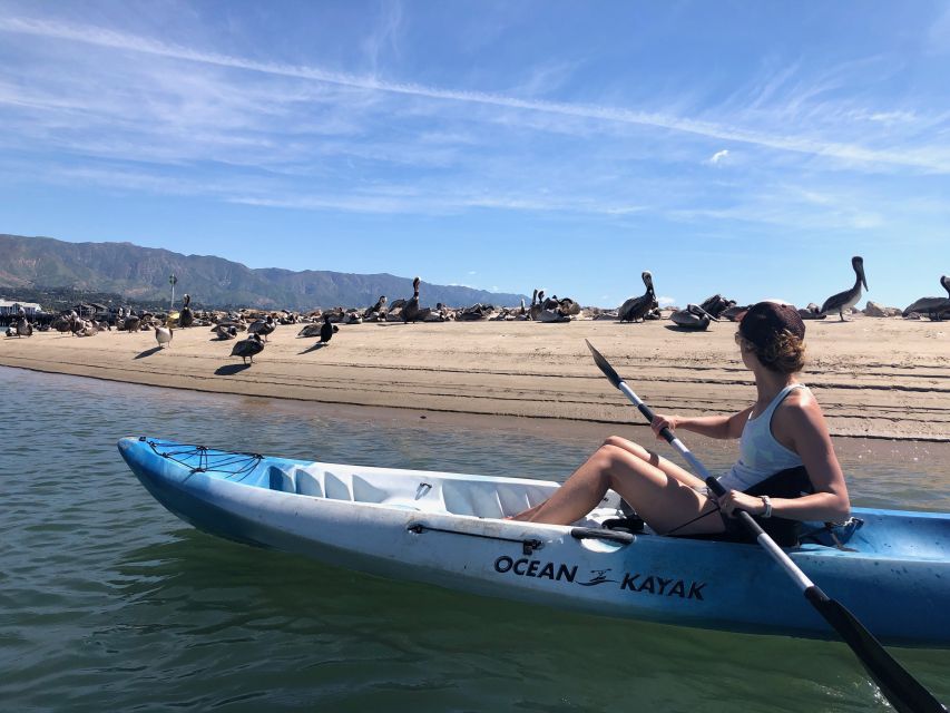 Santa Barbara: 1.5-Hour Harbor Kayak Tour - Key points to know before you paddle