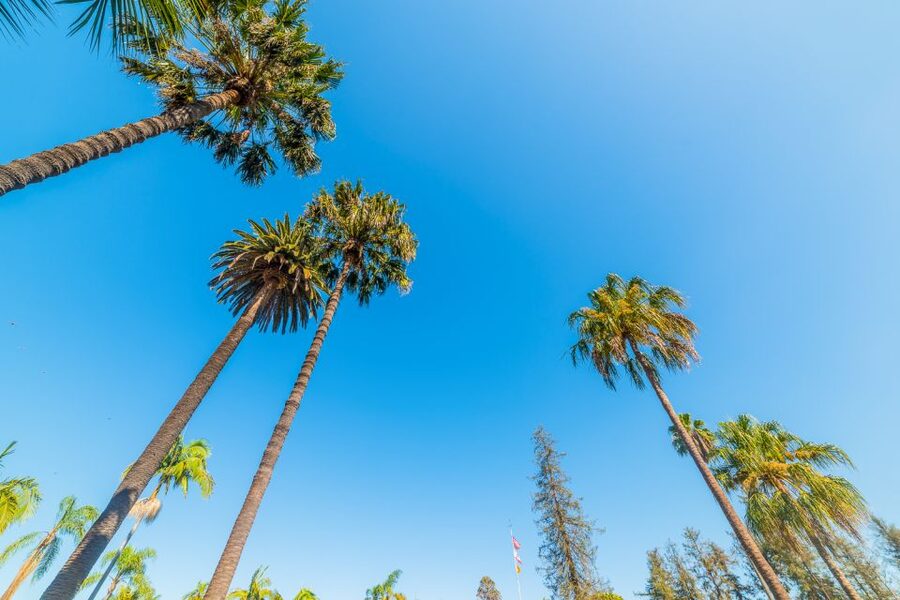 Santa Barbara: 3-Hour Cocktail and History Walking Tour - Why the small group changes the experience