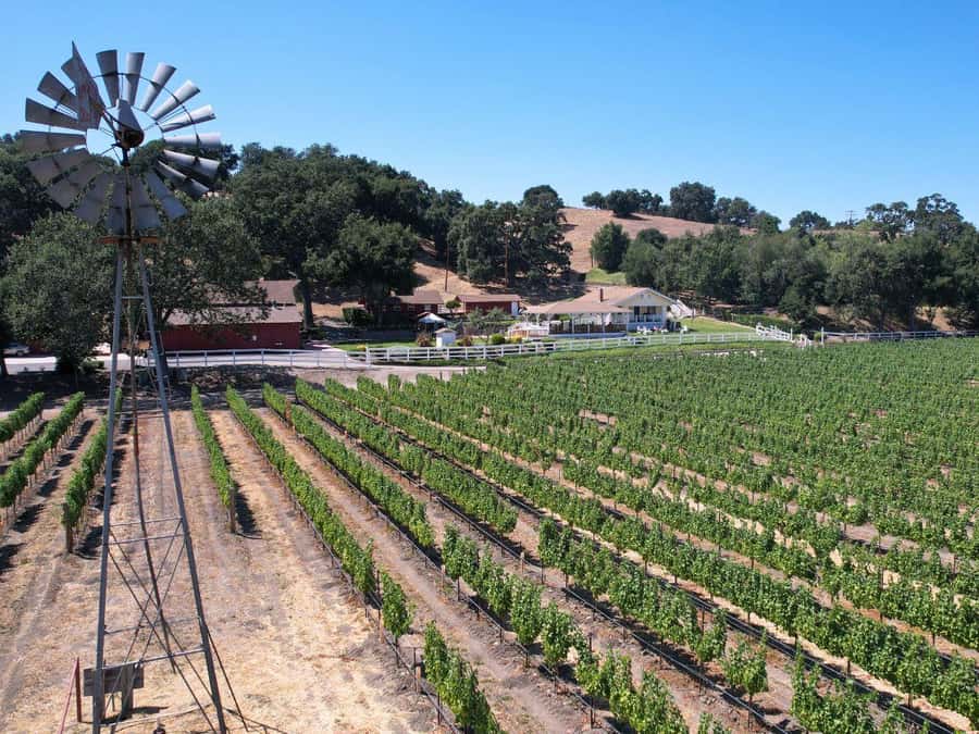 Santa Barbara: 3-Winery Tour Includes Tastings & Lunch inSYV - Practical details that make the day easier