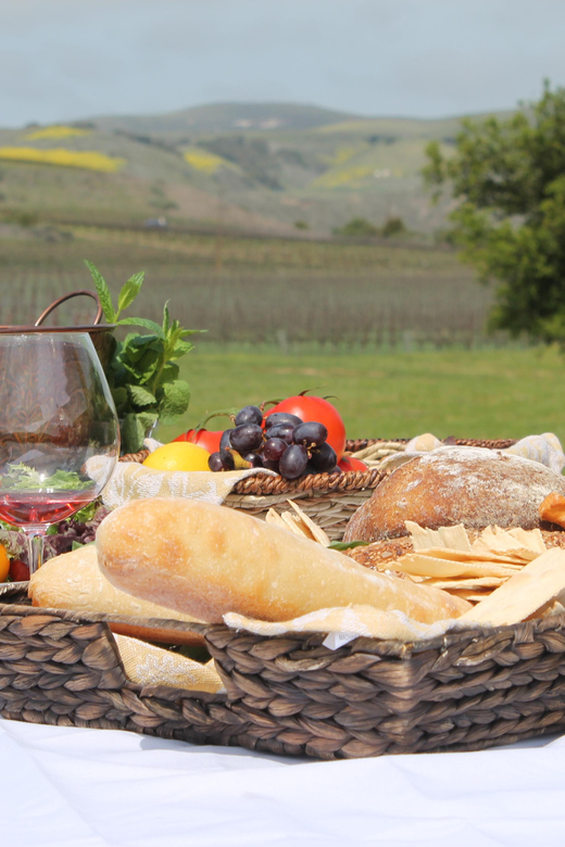 Santa Barbara: E-bike wine tour w/ transport, tasting, lunch - Why this Santa Ynez day works so well