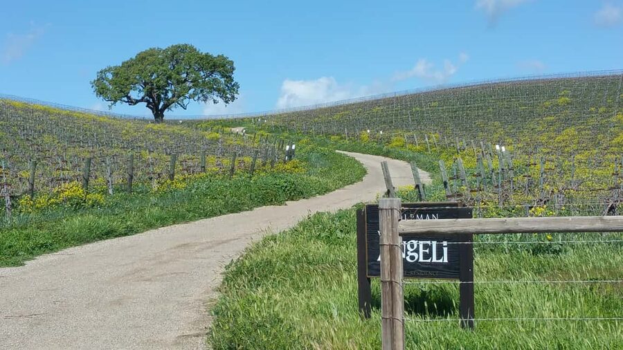 Santa Barbara: E-bike wine tour w/ transport, tasting, lunch - From Santa Barbara to the valley by 9:00 a.m.