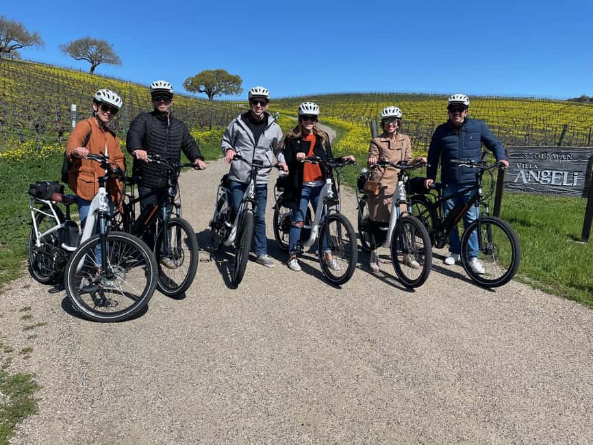 Santa Barbara: E-bike wine tour w/ transport, tasting, lunch - Lavender, miniature horses, and a Danish village