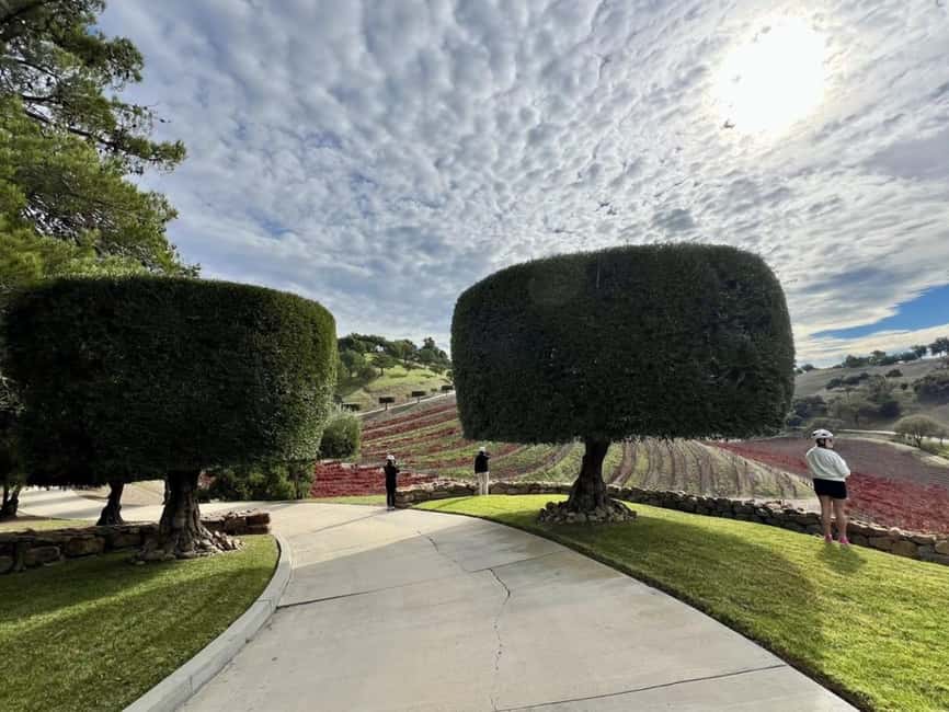 Santa Barbara: E-bike wine tour w/ transport, tasting, lunch - A winery picnic lunch with five wines