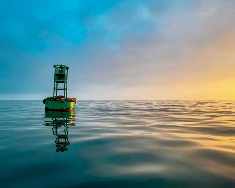Santa Barbara Harbor: Sunset Kayak Tour (2 Hours) - Sunset kayaking changes your view of Santa Barbara
