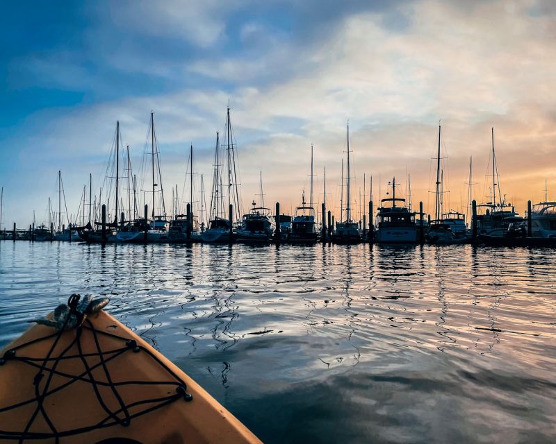 Santa Barbara Harbor: Sunset Kayak Tour (2 Hours) - What $89 includes, and what it does not