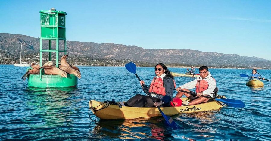 Santa Barbara Harbor: Wildlife Kayak Tour (2 Hours) - Key points to know before you book