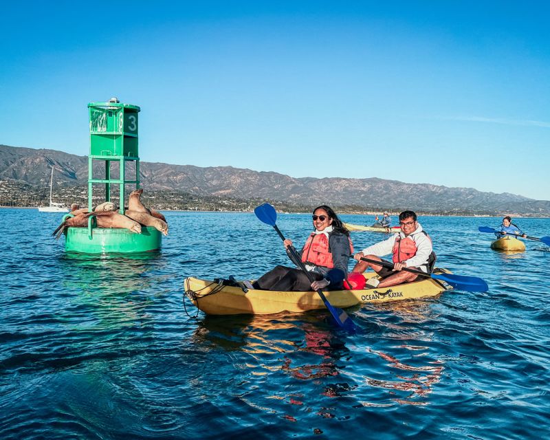 Santa Barbara Harbor: Wildlife Kayak Tour (2 Hours) - Why Santa Barbara Harbor works so well by kayak