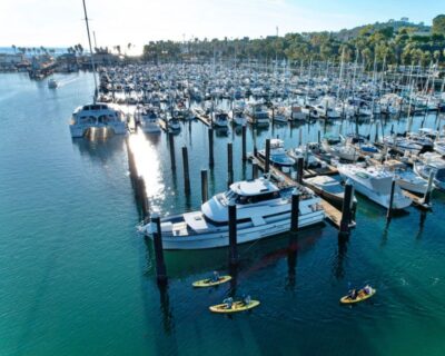 Santa Barbara Harbor: Wildlife Kayak Tour (2 Hours)