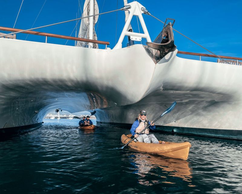 Santa Barbara Harbor: Wildlife Kayak Tour (2 Hours) - Wildlife to watch for from the kayak