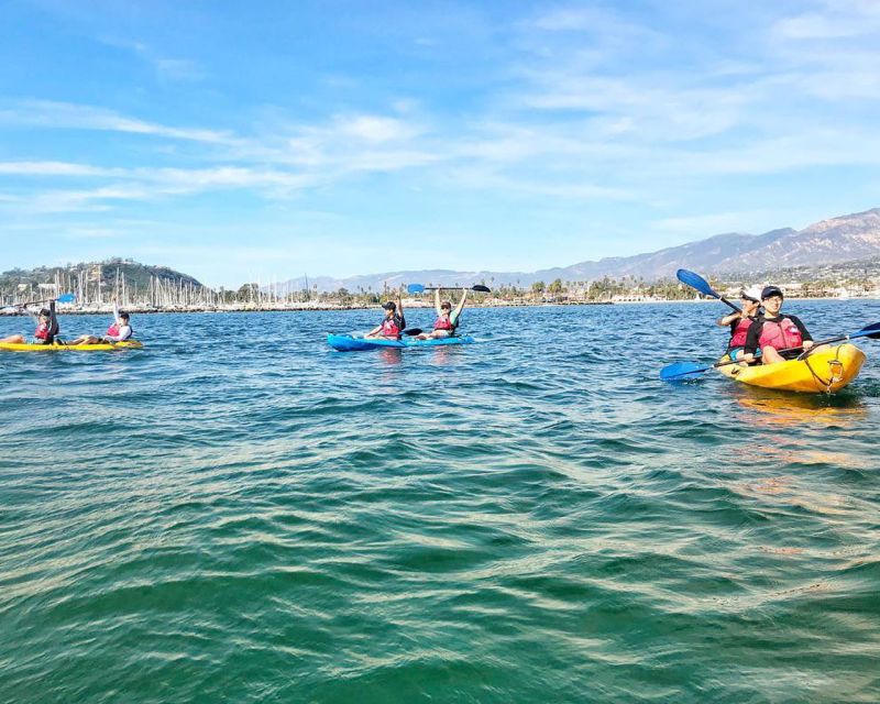 Santa Barbara Harbor: Wildlife Kayak Tour (2 Hours) - Guides who add more than basic directions
