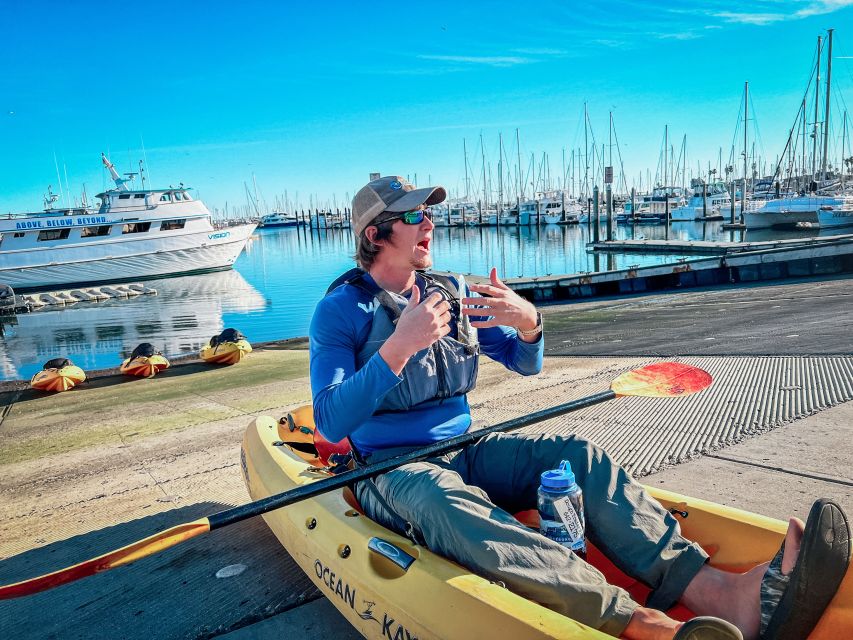 Santa Barbara Harbor: Wildlife Kayak Tour (2 Hours) - Practical planning for the day