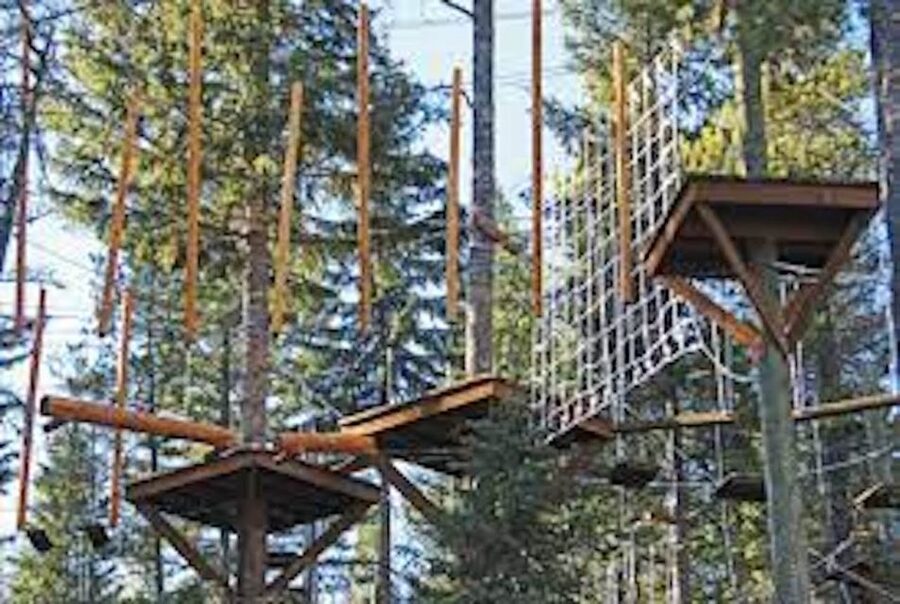 Santa Barbara: High Ropes Adventure Course - Starting at Basecamp in Santa Barbara