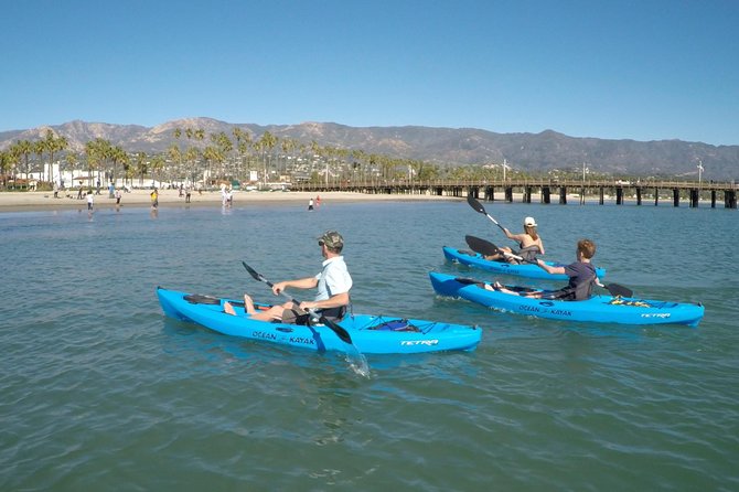 Santa Barbara Kayak or Stand Up Paddle Rental - The buoys and Santa Barbara seals
