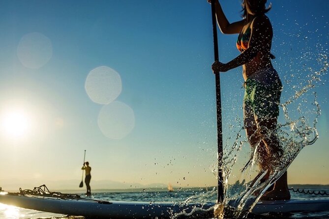 Santa Barbara Kayak or Stand Up Paddle Rental - Practical details before you reserve