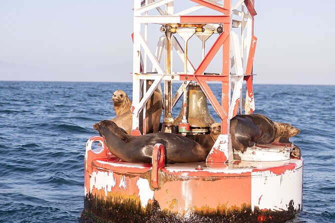Santa Barbara Narrated Coastal Yacht Experience - Seating, decks, and the onboard mood