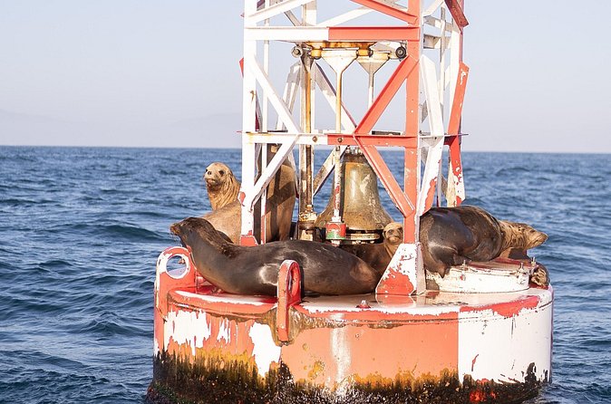 Santa Barbara Narrated Coastal Yacht Experience - Who will enjoy this cruise most?