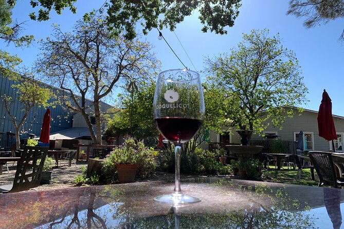 Santa Barbara Private Tour and Wine Tasting Experience from LA - Key points to know before booking