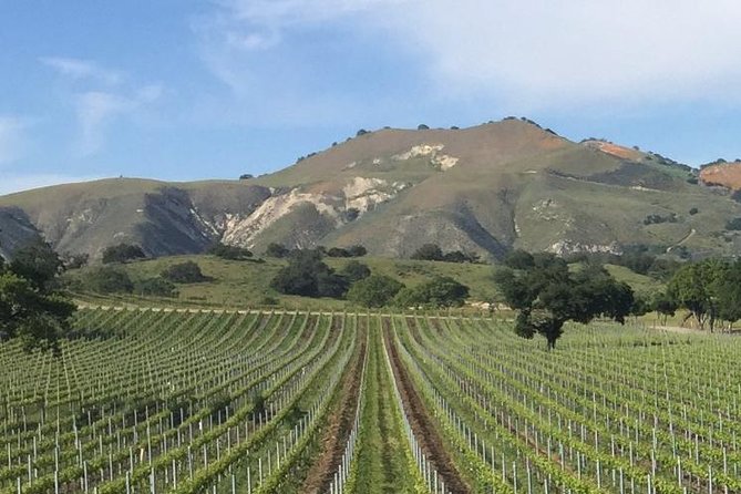 Santa Barbara's Original Afternoon Winery Tour - Two boutique wineries, with tasting fees already covered