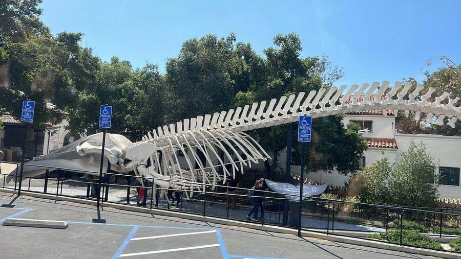 Santa Barbara: Trolley Tour - El Presidio connects the city to its Spanish military past