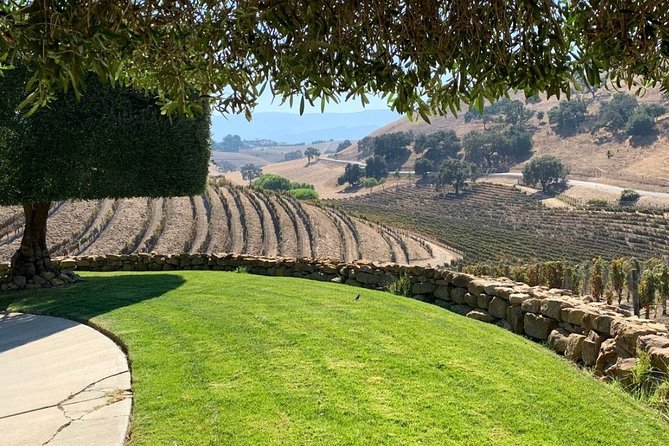 Santa Barbara Vineyard to Table Taste Tour by E-Bike - Picnic lunch at The Brander Vineyard