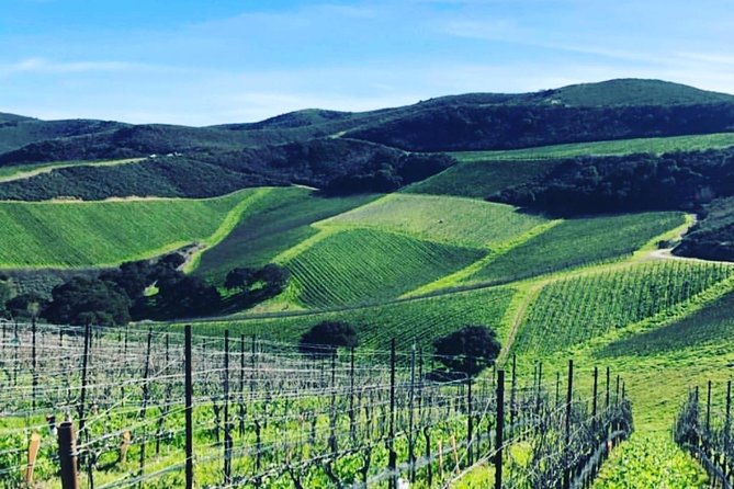 Santa Barbara Wine Country Tour - The important stop-count question