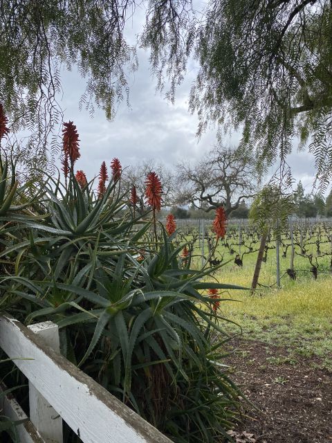 Santa Barbara: Wine Country Tour with Lunch - Who will enjoy this most