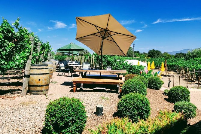 Santa Barbara Wine Tasting Day Tour from Los Angeles - Santa Barbara, the Pacific Coast Highway, and the long view