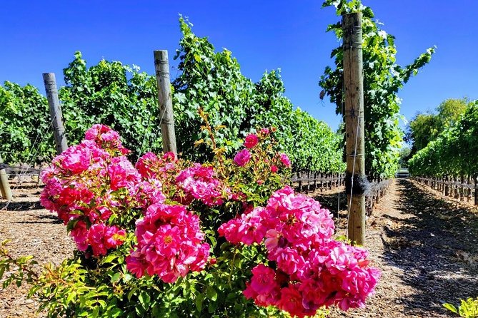 Santa Barbara Wine Tasting Day Tour from Los Angeles - Los Olivos: lunch and more tasting rooms