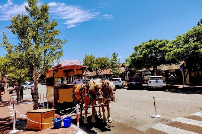 Santa Barbara Wine Tasting Day Tour from Los Angeles - The guide can shape the day