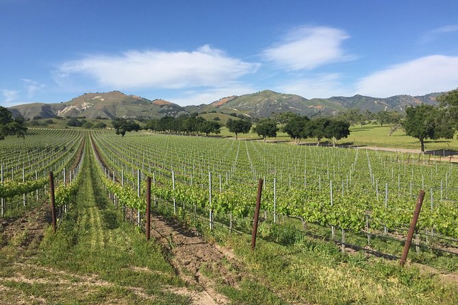 Santa Barbara Wine Tour Experience - Authentic and Boutique - Why this six-hour wine day feels different