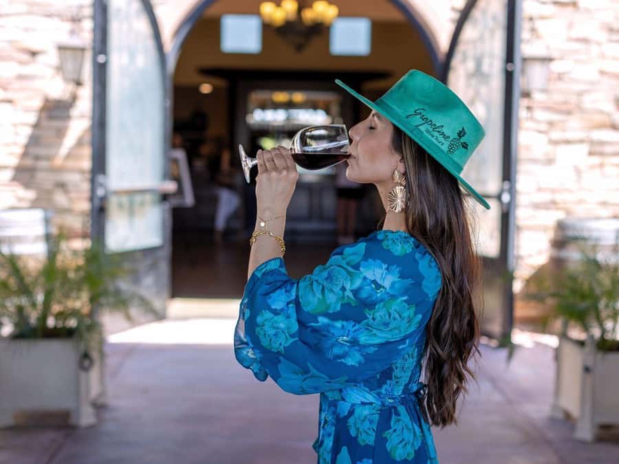 Santa Ynez: 3-Winery Tour Includes Tastings and Lunch - What $169 includes, and where the value sits