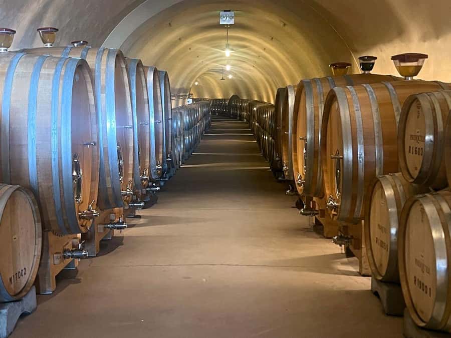 Santa Ynez: 3-Winery Tour Includes Tastings and Lunch - Should you book the Santa Ynez three-winery tour?