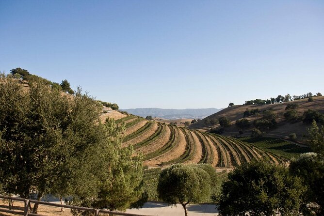 Santa Ynez: Cupcake & Wine Tour (All-Inclusive) - Key points to know before booking
