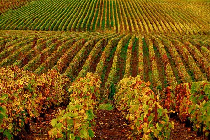 Santa Ynez: Cupcake & Wine Tour (All-Inclusive) - Local history on the road