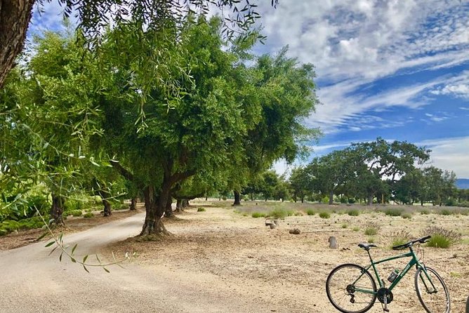 Santa Ynez Valley Biking and Wine Tasting Tour - Rideau Vineyard brings the first wine tasting