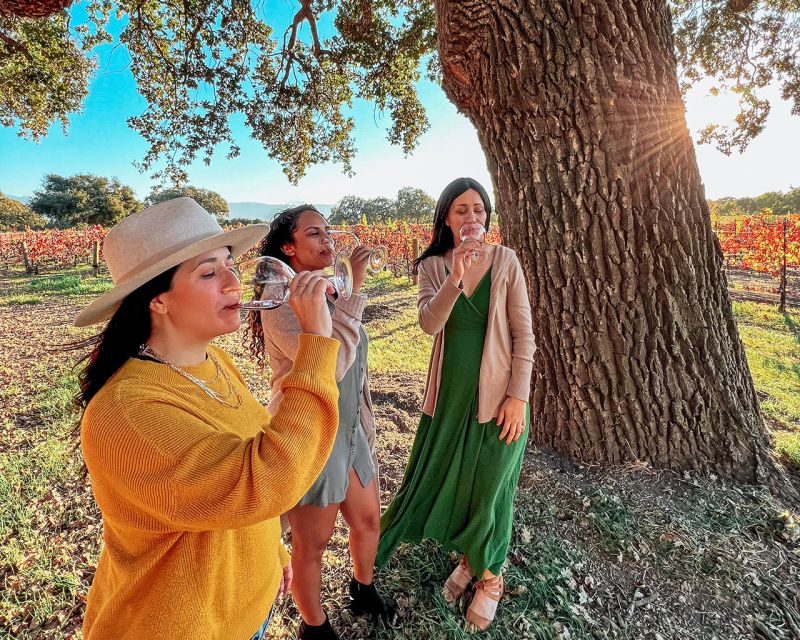 Santa Ynez: Wine Country Tour - First tasting: 75 minutes to get your bearings