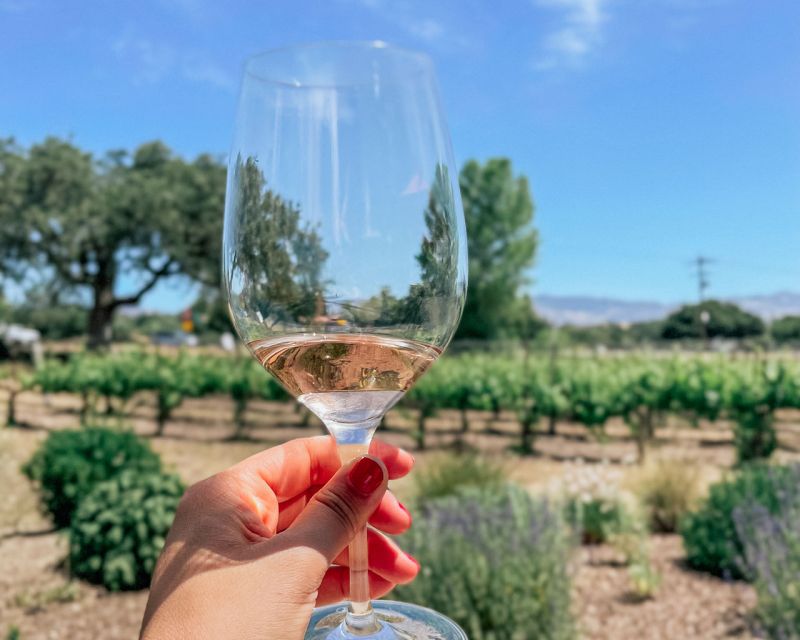 Santa Ynez: Wine Country Tour - Is $239 a fair price?